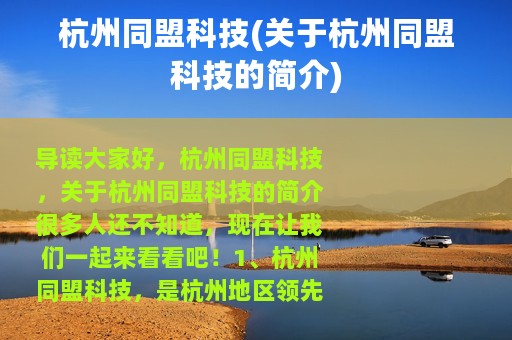 杭州同盟科技(关于杭州同盟科技的简介)