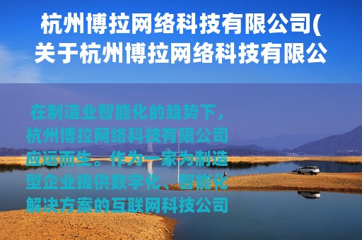 杭州博拉网络科技有限公司(关于杭州博拉网络科技有限公司的简介)