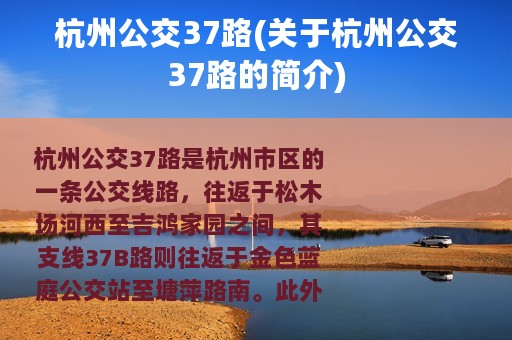 杭州公交37路(关于杭州公交37路的简介)