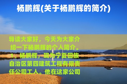 杨鹏辉(关于杨鹏辉的简介)