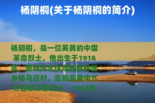 杨阴桐(关于杨阴桐的简介)