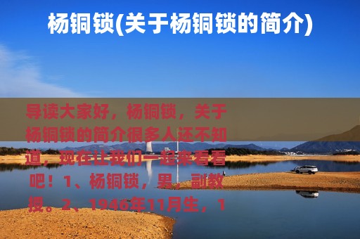 杨铜锁(关于杨铜锁的简介)