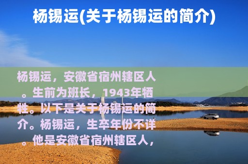 杨锡运(关于杨锡运的简介)