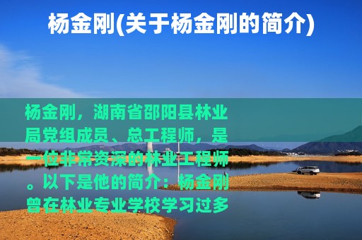 杨金刚(关于杨金刚的简介)