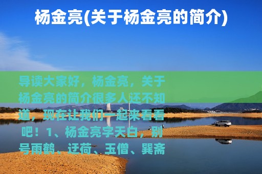 杨金亮(关于杨金亮的简介)