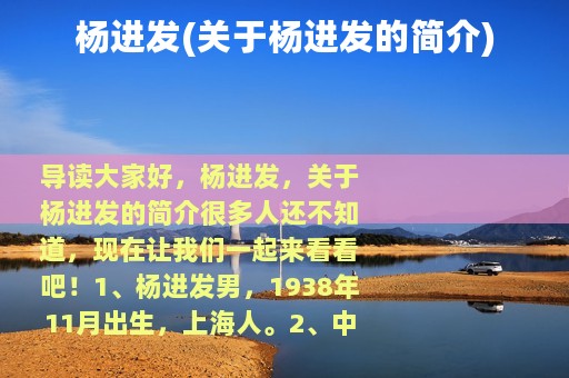 杨进发(关于杨进发的简介)