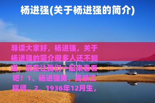 杨进强(关于杨进强的简介)