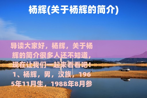 杨辉(关于杨辉的简介)