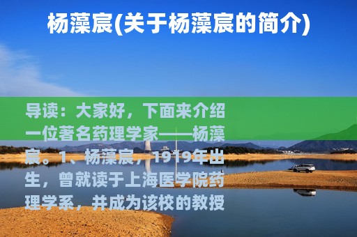 杨藻宸(关于杨藻宸的简介)