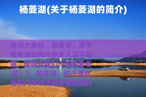 杨菱湖(关于杨菱湖的简介)