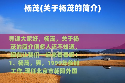 杨茂(关于杨茂的简介)