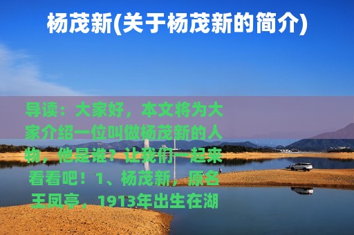 杨茂新(关于杨茂新的简介)