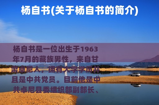 杨自书(关于杨自书的简介)