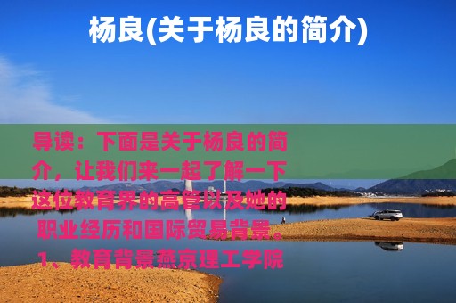 杨良(关于杨良的简介)