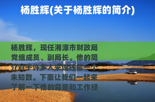 杨胜辉(关于杨胜辉的简介)