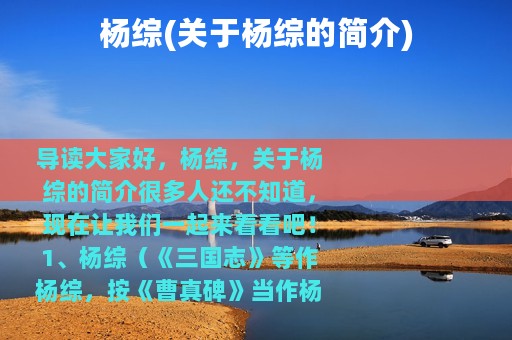 杨综(关于杨综的简介)