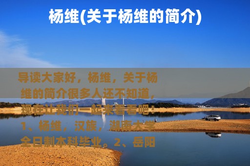 杨维(关于杨维的简介)