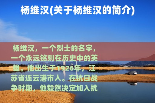 杨维汉(关于杨维汉的简介)