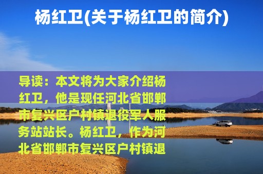 杨红卫(关于杨红卫的简介)