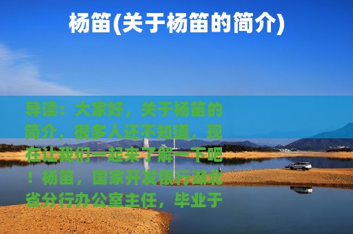 杨笛(关于杨笛的简介)