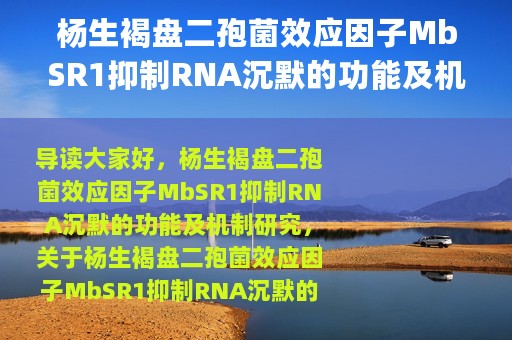 杨生褐盘二孢菌效应因子MbSR1抑制RNA沉默的功能及机制研究(关于杨生褐盘二孢菌效应因子MbSR1抑制RNA沉默的功能及机制研究的简介)