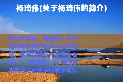 杨琦伟(关于杨琦伟的简介)