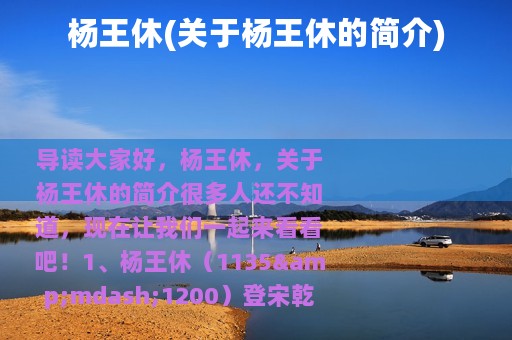 杨王休(关于杨王休的简介)