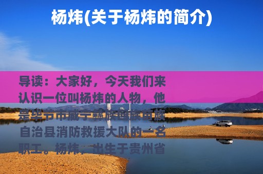 杨炜(关于杨炜的简介)