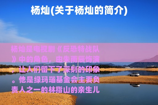 杨灿(关于杨灿的简介)