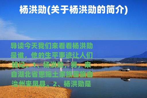 杨洪勋(关于杨洪勋的简介)