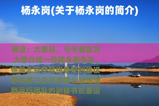 杨永岗(关于杨永岗的简介)