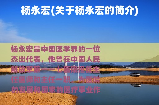 杨永宏(关于杨永宏的简介)