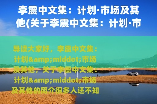 李震中文集：计划·市场及其他(关于李震中文集：计划·市场及其他的简介)