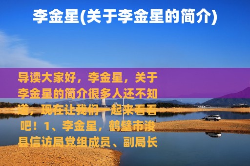 李金星(关于李金星的简介)