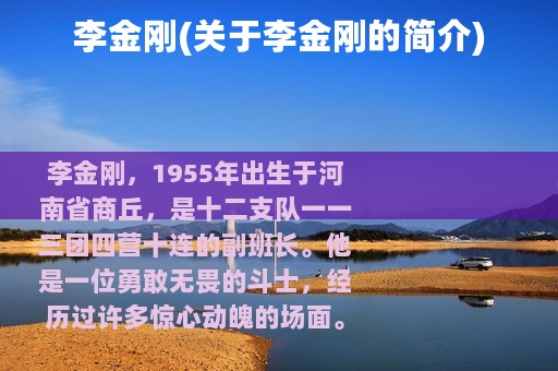 李金刚(关于李金刚的简介)