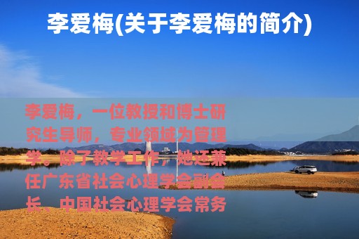 李爱梅(关于李爱梅的简介)