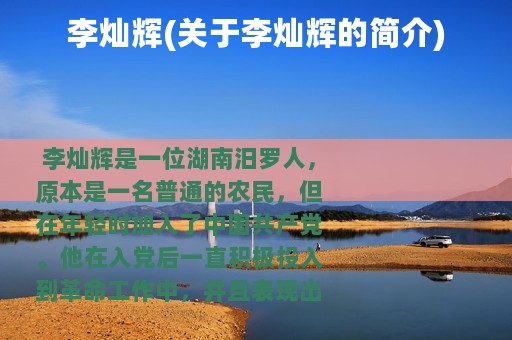 李灿辉(关于李灿辉的简介)