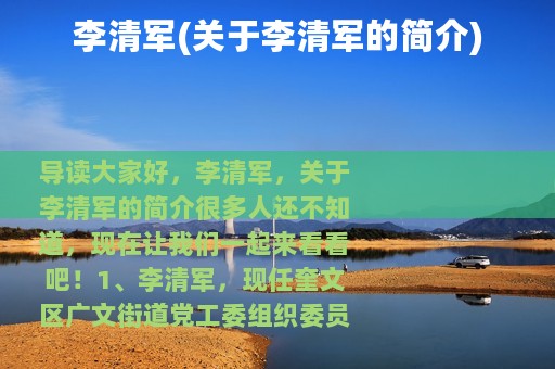 李清军(关于李清军的简介)
