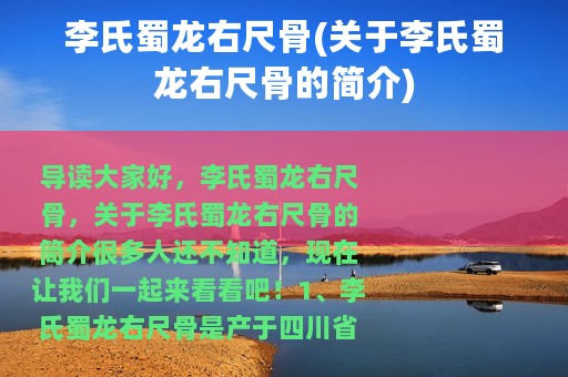 李氏蜀龙右尺骨(关于李氏蜀龙右尺骨的简介)