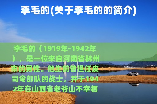 李毛的(关于李毛的的简介)