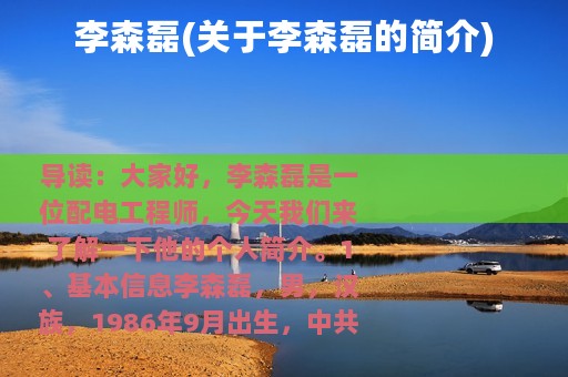 李森磊(关于李森磊的简介)
