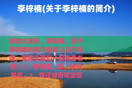 李梓楠(关于李梓楠的简介)