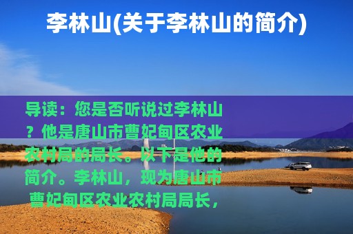 李林山(关于李林山的简介)