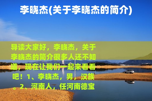 李晓杰(关于李晓杰的简介)