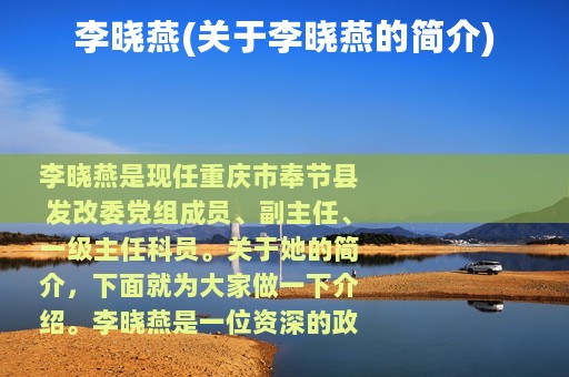 李晓燕(关于李晓燕的简介)