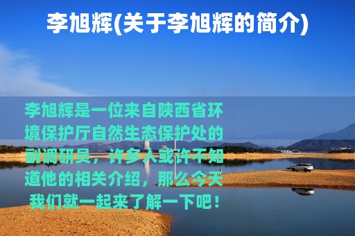 李旭辉(关于李旭辉的简介)