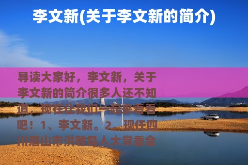 李文新(关于李文新的简介)