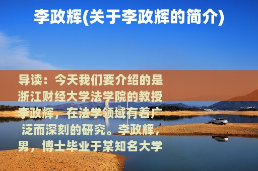 李政辉(关于李政辉的简介)