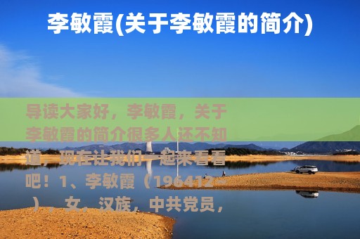 李敏霞(关于李敏霞的简介)