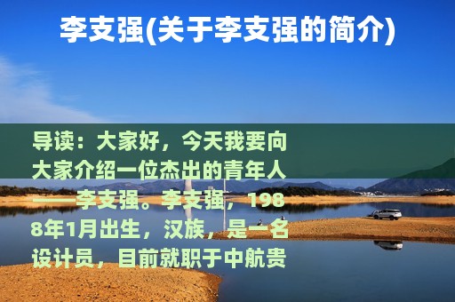 李支强(关于李支强的简介)